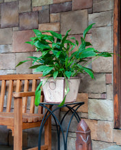 Load image into Gallery viewer, Square Rustic Faux Galvanized Garden planter