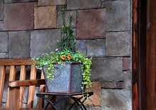 Load image into Gallery viewer, Lifestyle shot of planted 12" square faux galvanized finish poly-resin garden planter flower pot