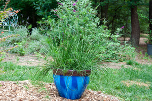 Garden Planter - Iris Blue