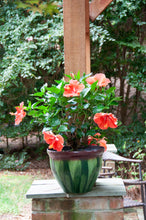 Load image into Gallery viewer, Garden Planter - Iris Blue
