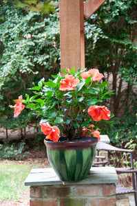 Garden Planter - Iris Blue
