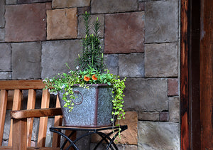 Lifestyle shot of planted 12" square faux galvanized finish poly-resin garden planter flower pot